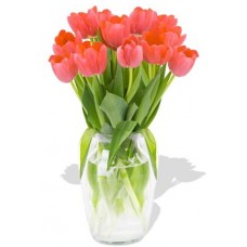 12 Orange Tulips Bouquet